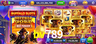 Daily Bonuses bv789